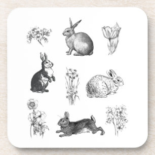 Modern vintage farmhouse Easter rabbits Beverage Coaster
