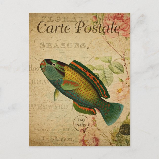 Modern Vintage Fish collage art  Postcard (Front)