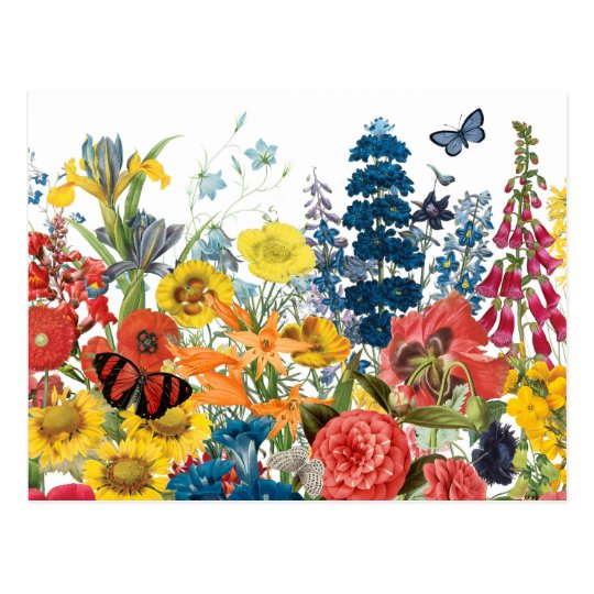 modern vintage flowers postcard | Zazzle.com