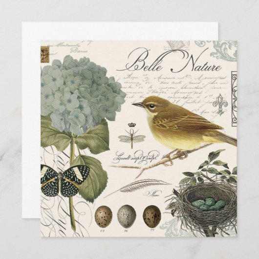 modern vintage French bird and nest (Front/Back)