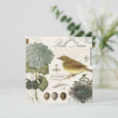 modern vintage French bird and nest (Standing Front)