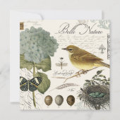 modern vintage French bird and nest (Front)