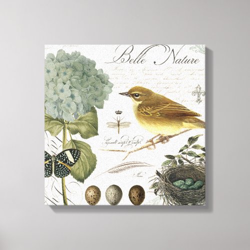 modern vintage French bird and nest Canvas Print