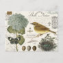 modern vintage French bird and nest Postcard