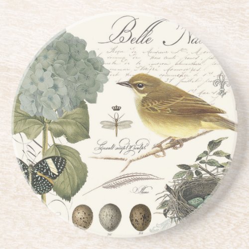 modern vintage French bird and nest Sandstone Coaster