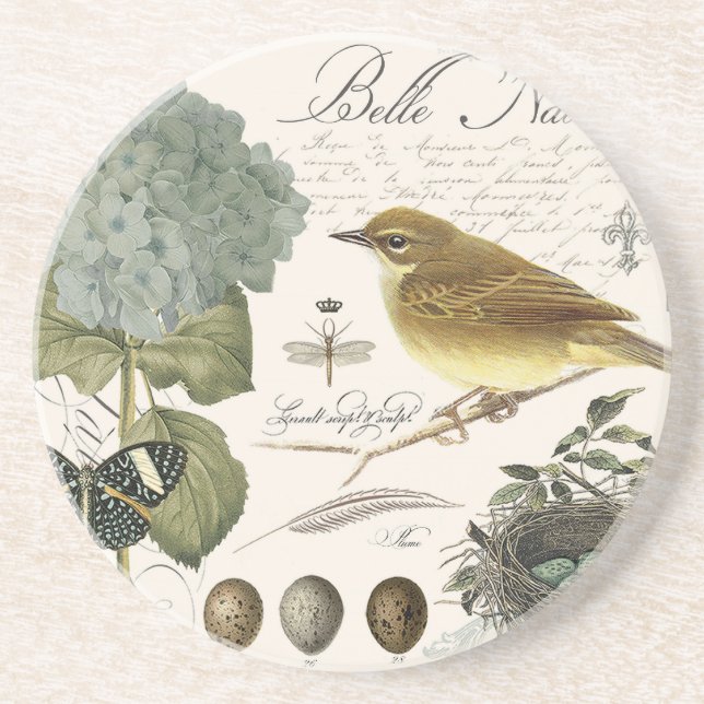 modern vintage French bird and nest Sandstone Coaster (Front)