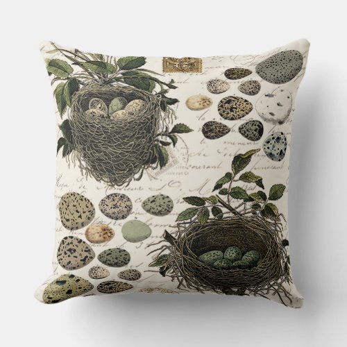 Modern Vintage French bird nests and eggs Throw Pillow