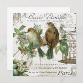 Modern Vintage French birds and birdcage (Front/Back)