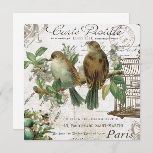Modern Vintage French birds and birdcage (Front/Back)