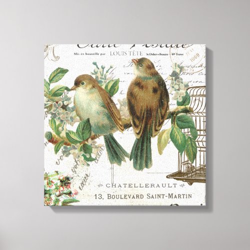 Modern Vintage French birds and birdcage Canvas Print