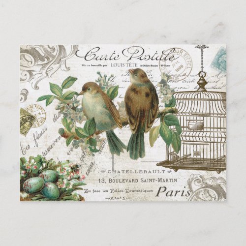 Modern Vintage French birds and birdcage Postcard