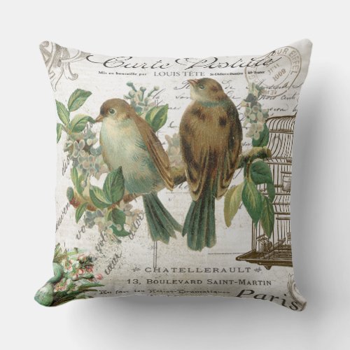 Modern Vintage French birds and birdcage Throw Pillow