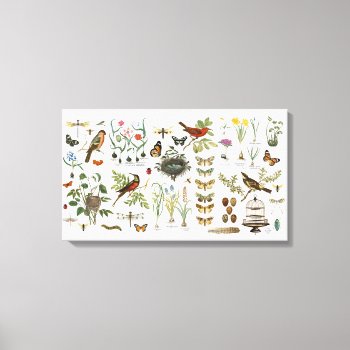Modern Vintage French Botanical Birds And Flowers Canvas Print by GIFTSBYHEATHERMYERS at Zazzle
