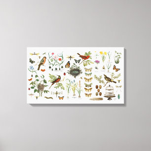 modern vintage french botanical birds and flowers canvas print