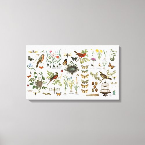 modern vintage french botanical birds and flowers canvas print