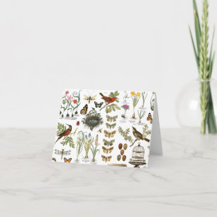 modern vintage french botanical birds and flowers card
