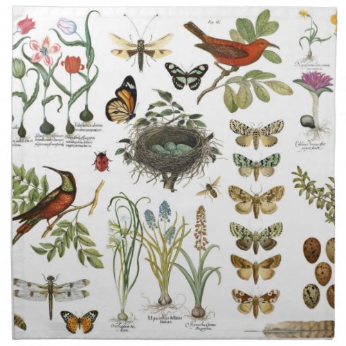 modern vintage french botanical birds and flowers napkin
