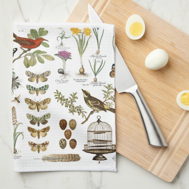 modern vintage french botanical birds and flowers towel (Quarter Fold)