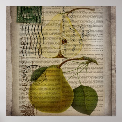 modern Vintage french Botanical Print fruit pear