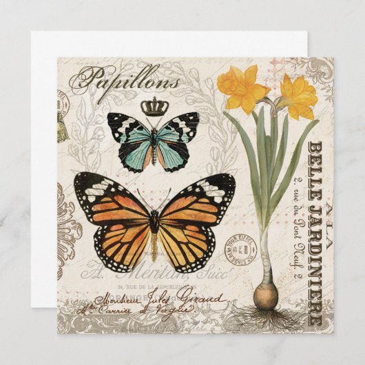 Modern vintage french butterflies (Front/Back)