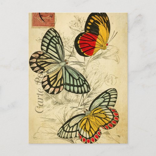 Modern Vintage French butterflies collage Postcard