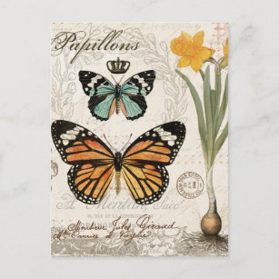 Modern vintage french butterflies postcard