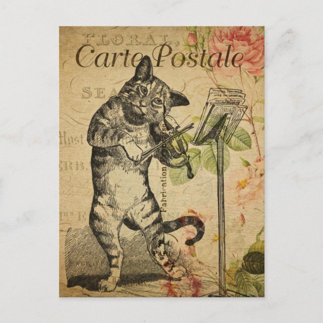 Modern Vintage French Cat fiddle collage Postcard (Front)