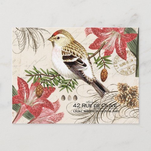Modern vintage French Christmas bird postcard
