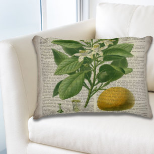 modern vintage french country botanical art orange accent pillow