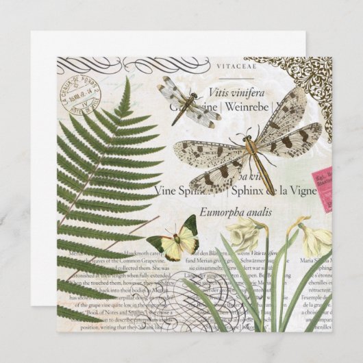 modern vintage french dragonfly (Front/Back)