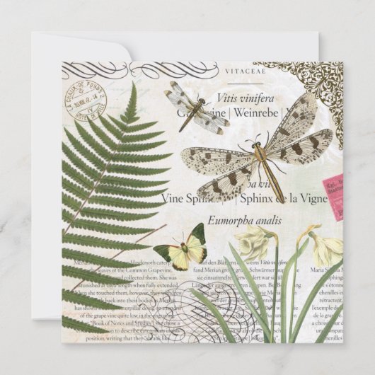 modern vintage french dragonfly (Front)