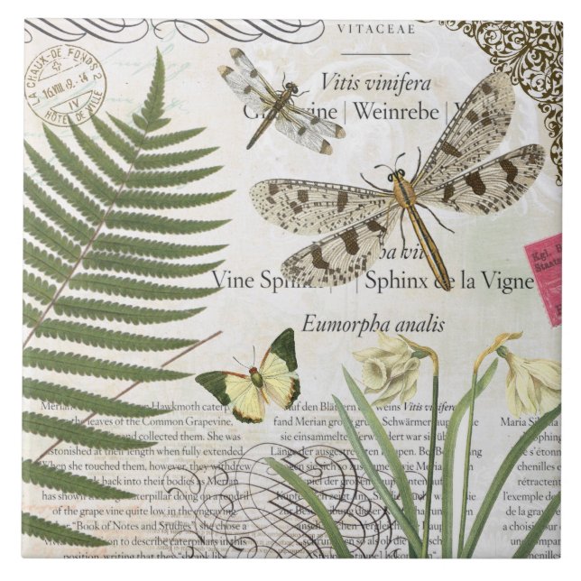 modern vintage french dragonfly ceramic tile (Front)
