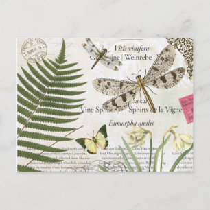 modern vintage french dragonfly postcard