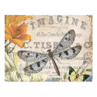 French Gifts on Zazzle