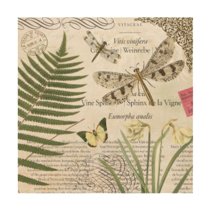 modern vintage french dragonfly wood wall art