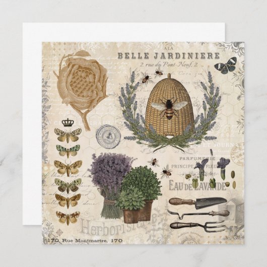 Modern Vintage French Farmhouse Bee (Front/Back)