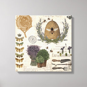 Modern Vintage French Farmhouse Bee Canvas Print
