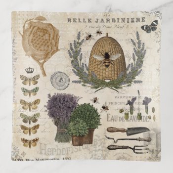 Modern Vintage French Farmhouse Bee Trinket Tray by GIFTSBYHEATHERMYERS at Zazzle