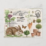 Modern Vintage French Farmhouse Garden Rabbit Postcard