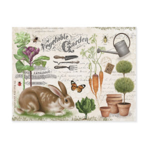 Modern Vintage French Farmhouse Garden Rabbit Postcard