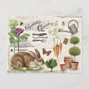 Modern Vintage French Farmhouse Garden Rabbit Postcard