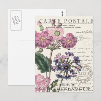 modern vintage french floral postcard | Zazzle