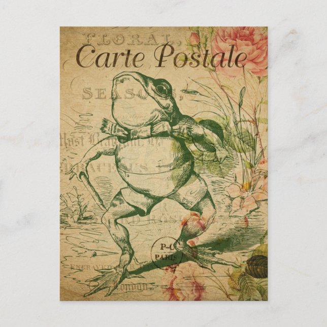 Modern Vintage French frog collage Postcard (Front)