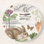 Modern Vintage French Garden Rabbit Coaster at Zazzle