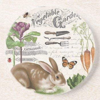 Modern Vintage French Garden Rabbit Coaster by GIFTSBYHEATHERMYERS at Zazzle