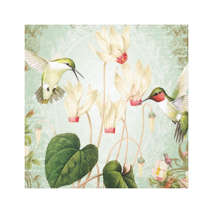 Modern Vintage French Hummingbirds Canvas Print Zazzle Com