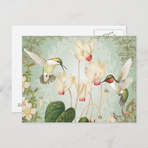 Modern Vintage French Hummingbirds Postcard | Zazzle