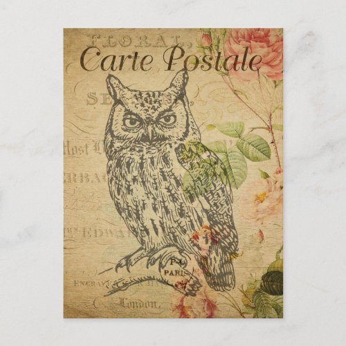 Modern Vintage French Owl collage Postcard