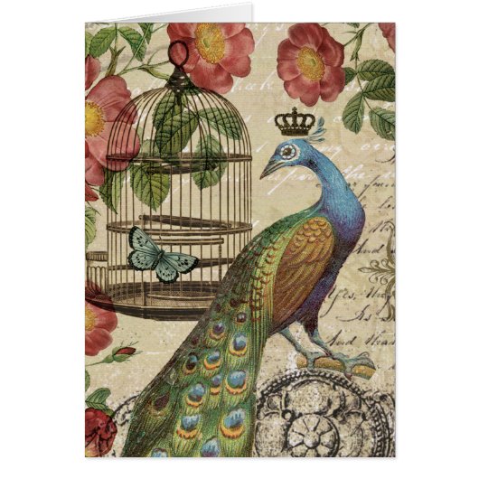 modern vintage french peacock (Front)