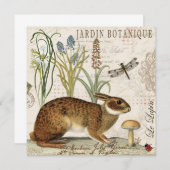 modern vintage french rabbit in the garden (Front/Back)